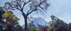 Mount Mangake - Kruger National Park | 2018 | Oil on Canvas | 44 x 62 cm
